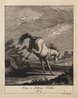 KG 01078
          <br/>
          Entwurf einiger Pferde. Sechster Theil. (18 bladen)
          <br/>
          <em>Ridinger, Johann Elias (1698-1767)</em>